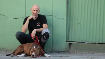 Dog: Impossible_backdropimg