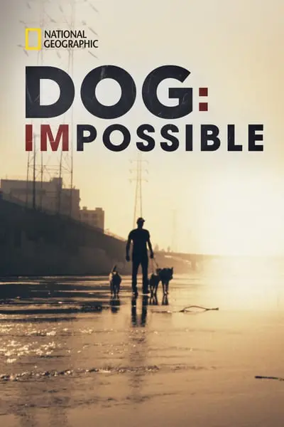 Dog: Impossible_poster
