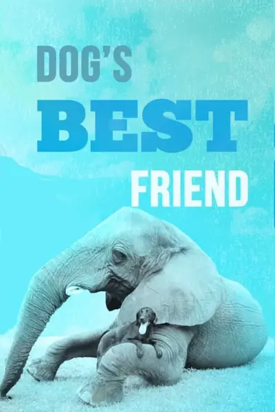 Dog's Best Friend_poster