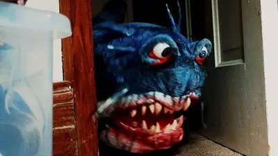 Doll Shark_backdropimg