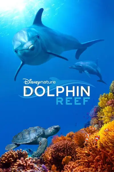 Dolphin Reef_poster