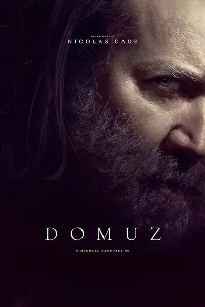 Domuz_poster