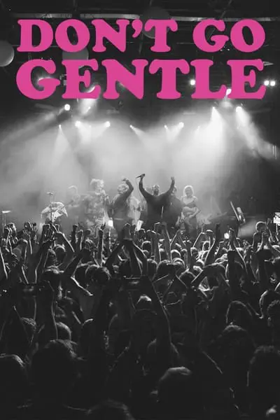 Don't Go Gentle: A Film About IDLES_poster