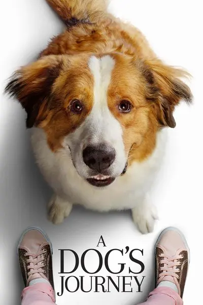 Dostumun Yolculuğu_poster