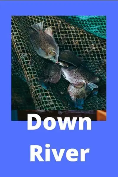 Down River_poster