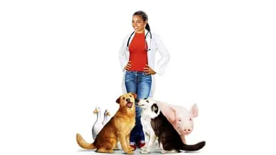Dr. Dolittle 3_backdropimg