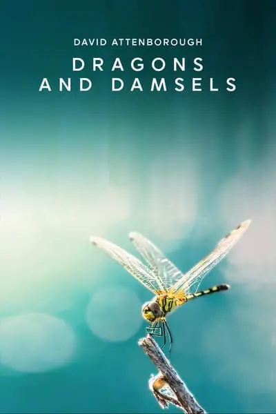 Dragons and Damsels_poster