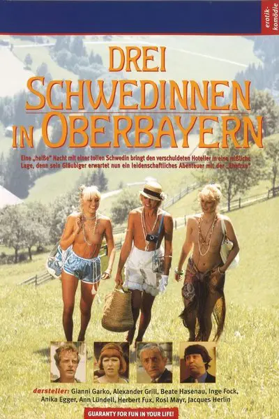 Drei Schwedinnen in Oberbayern_poster