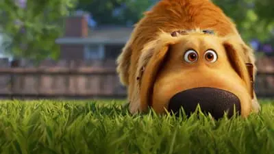 Dug'ın Maceraları_backdropimg