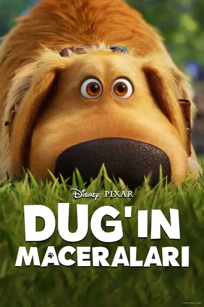 Dug'ın Maceraları_poster