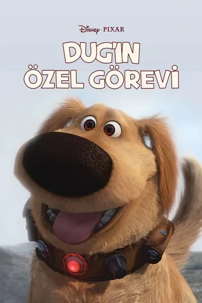 Dug'ın Özel Görevi_poster