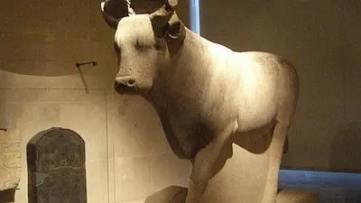 Egypt: The Treasure Of The Sacred Bulls_backdropimg