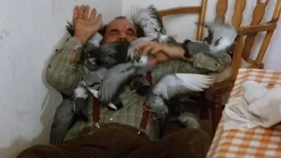 El ataque de los pájaros_backdropimg