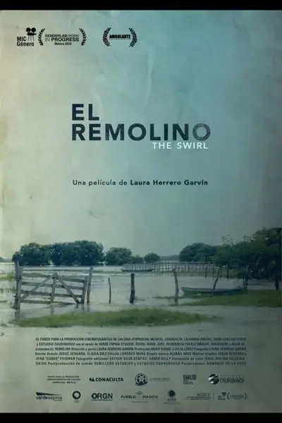 El Remolino_poster