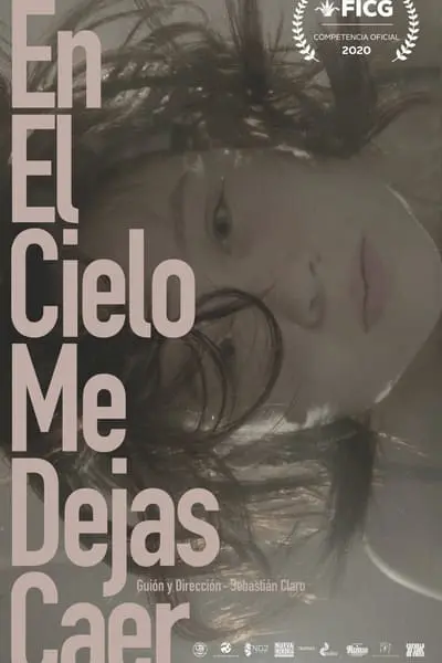 En el cielo me dejas caer_poster