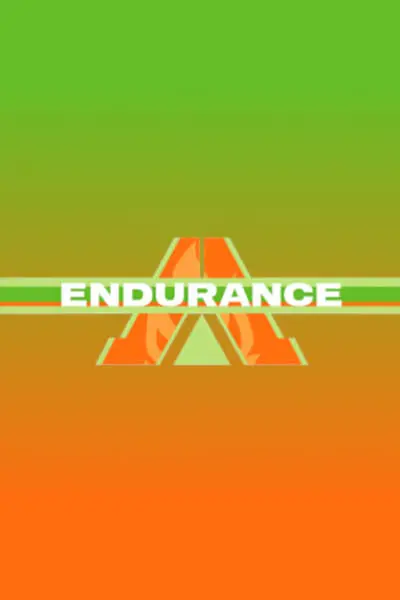 Endurance_poster