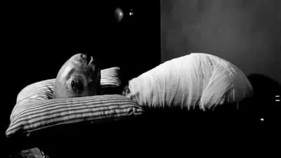 Eraserhead_backdropimg