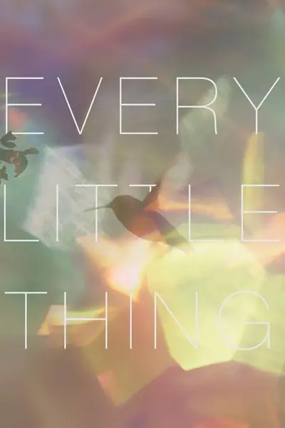 Every Little Thing_poster