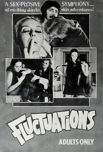 Fluctuations_poster