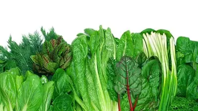 Foods That Cure Disease_backdropimg