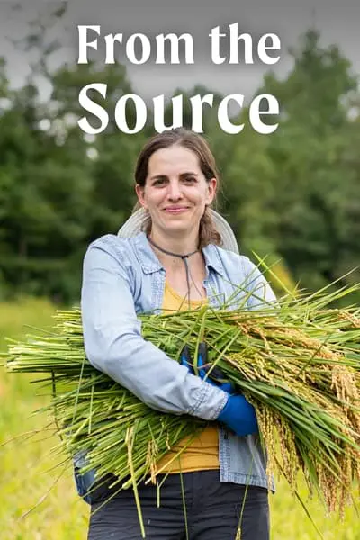From the Source_poster