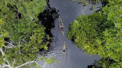 Frontier Sumatra_backdropimg