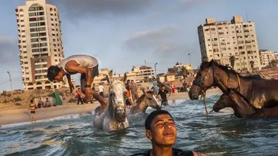 Gaza_backdropimg
