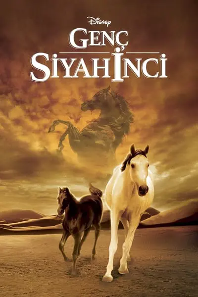 Genç Siyah inci_poster
