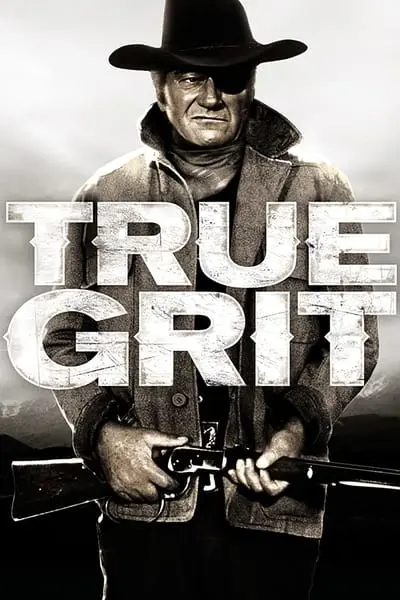 Gerçek Cesaret_poster