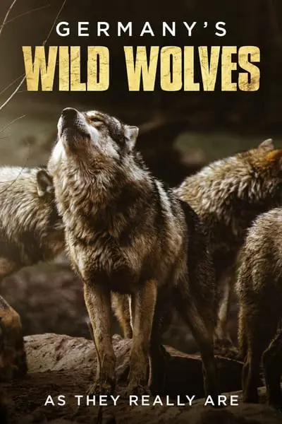 Germany's Wild Wolves - As They Really Are_poster