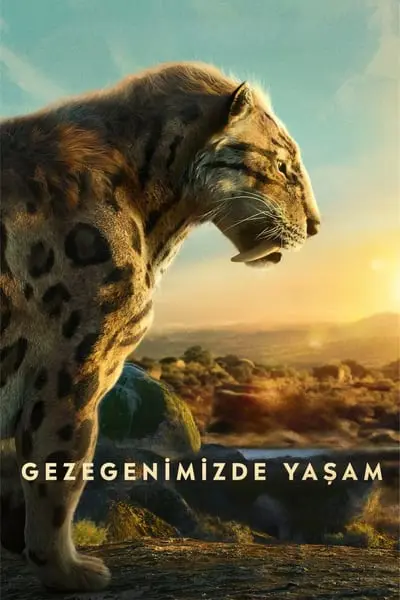 Gezegenimizde Yaşam_poster