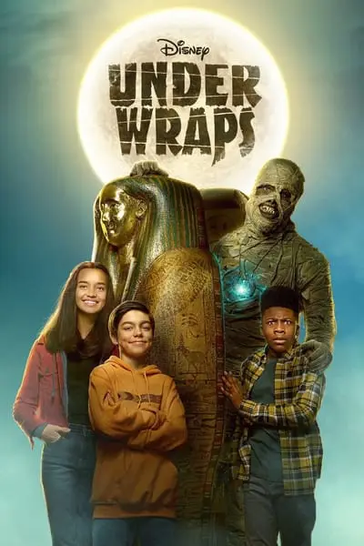 Gizli Saklı_poster