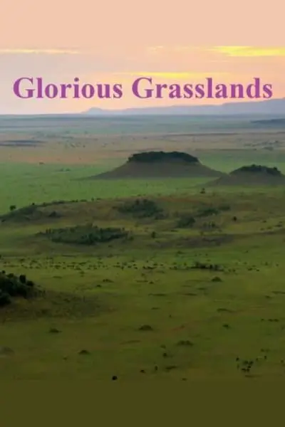 Glorious Grasslands_poster
