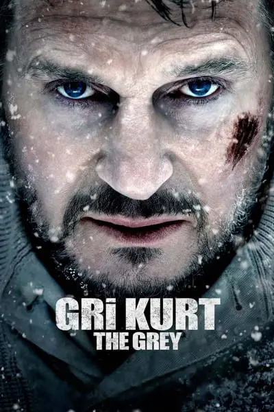 Gri Kurt_poster