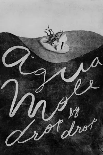 Água Mole_poster
