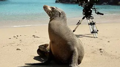 Guardians of the Galapagos_backdropimg