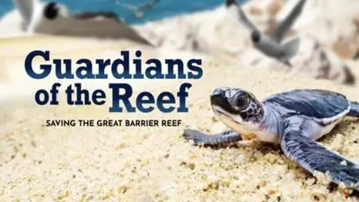 Guardians of the Reef_backdropimg