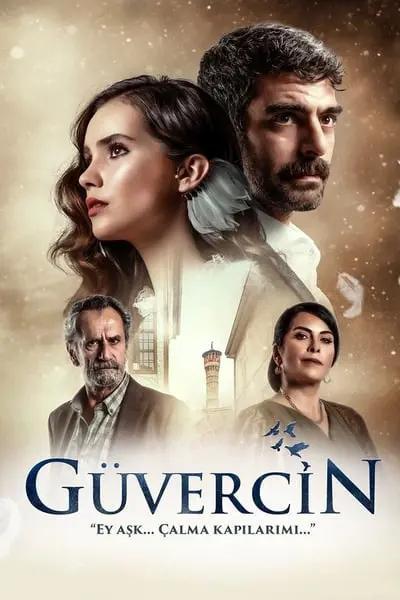 Güvercin_poster