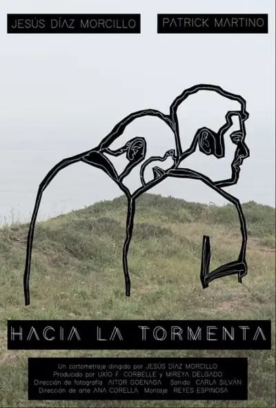 Hacia la tormenta_poster