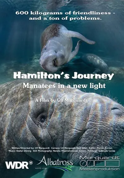 Hamilton's Journey - Manatees in a New Light_poster