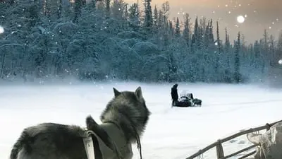 Happy People: A Year in the Taiga_backdropimg