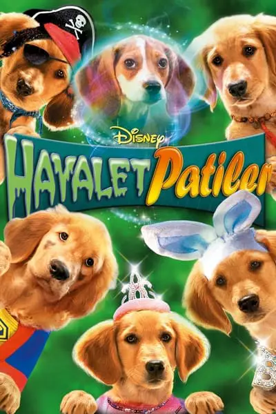 Hayalet Patiler_poster
