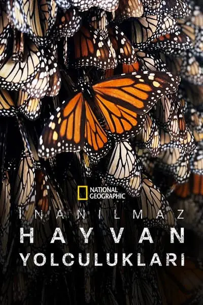 Hayvanların İnanılmaz Yolculukları_poster