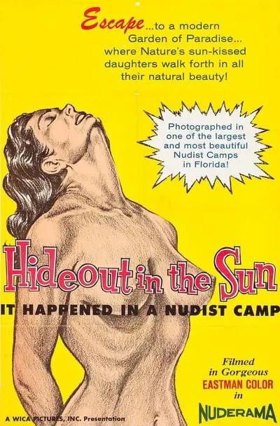 Hideout in the Sun_poster