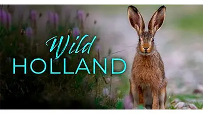 Holland: Natuur in de Delta_backdropimg
