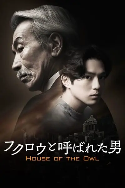 House of the Owl_poster