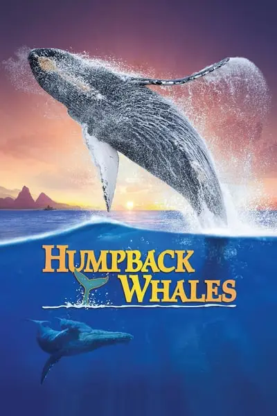 Humpback Whales_poster
