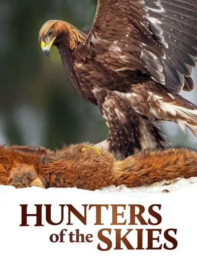 Hunters of the Skies_poster