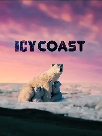 Icy Coasts_poster