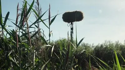 In a Silent Way_backdropimg